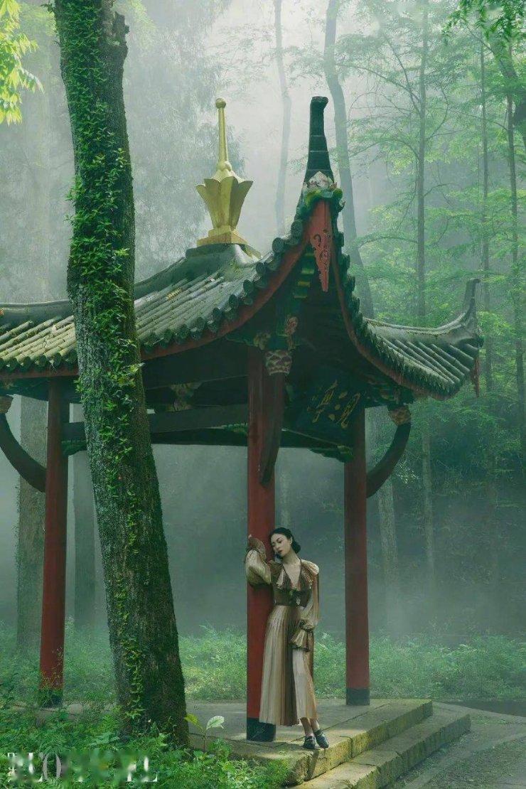 拯救龙精灵