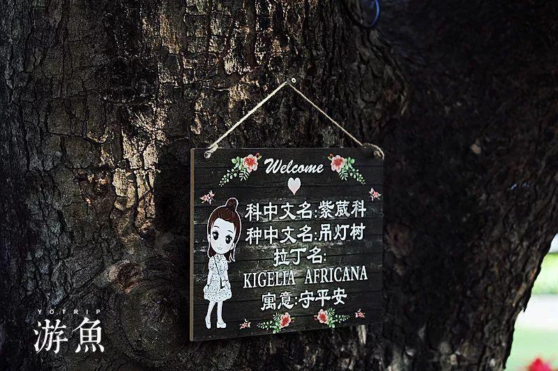 高盛：通胀上行风险仍然可控，维持欧洲央行4月首次降息25BP的预测不变