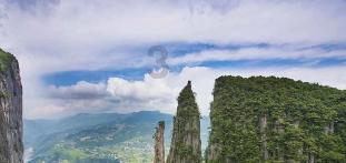 年终答卷|杨平:有时候卸载负重,也是一种前行必须具备的能力